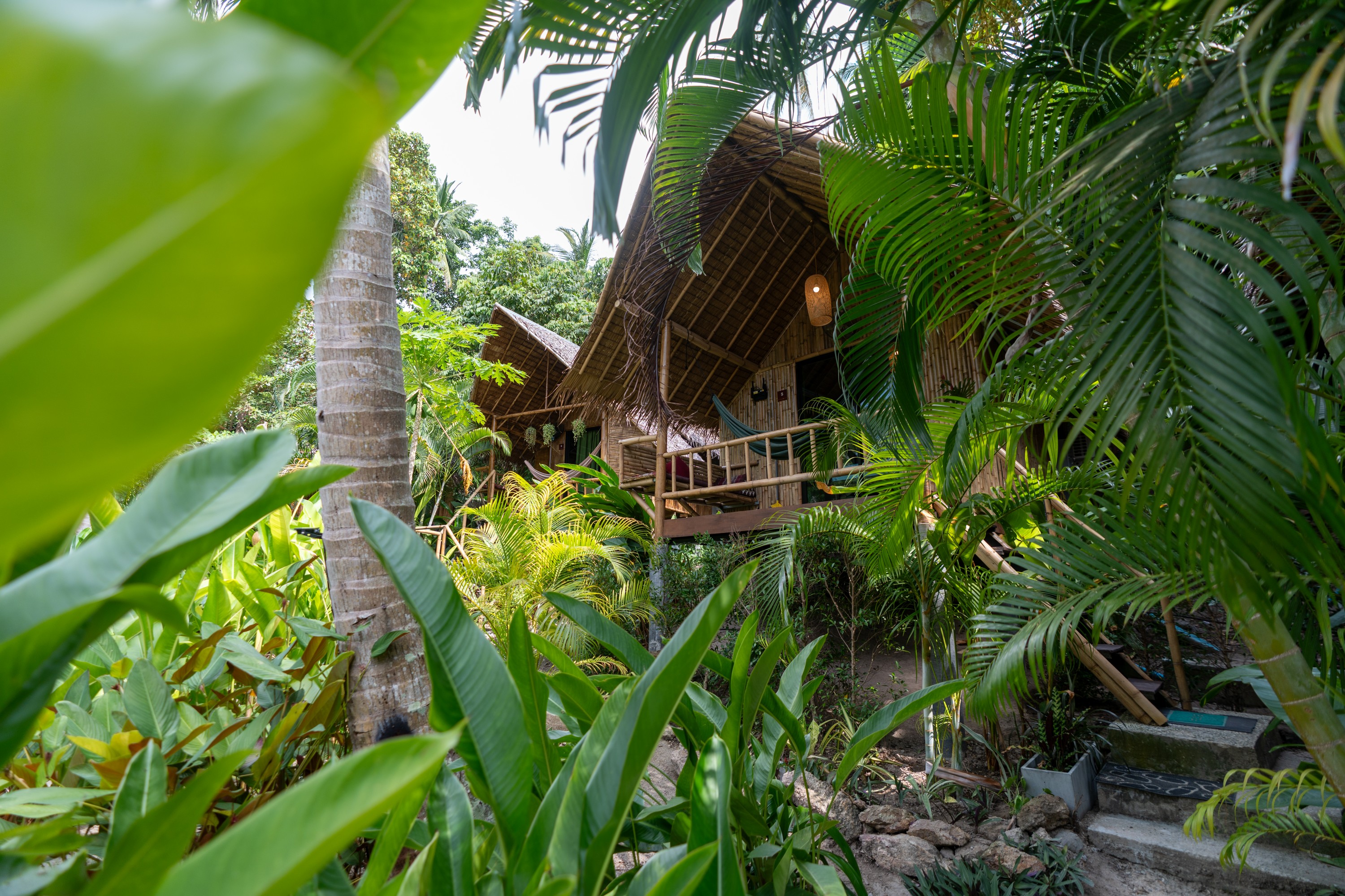 Coconut Construction