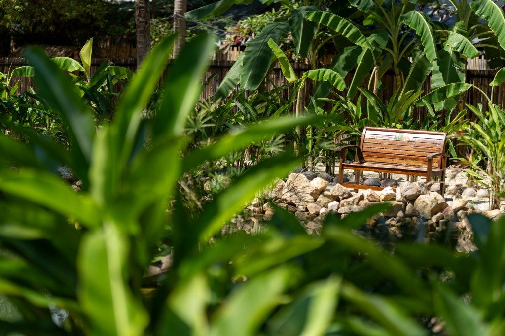 Natural Landscaping